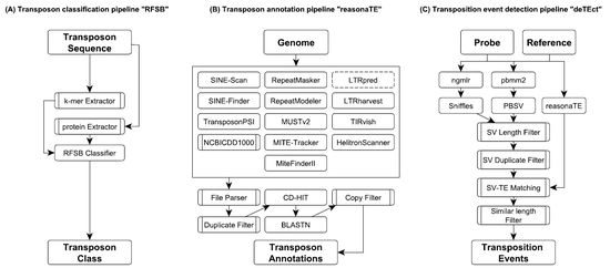 TransposonUltimate: software for transposon classification, annotation and detection